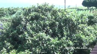 Муж позвал кента, чтобы помог снять домашнюю порнуху с женой