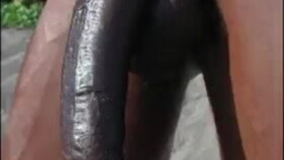 Лицо любой белой девушки когда она видит большой черный член